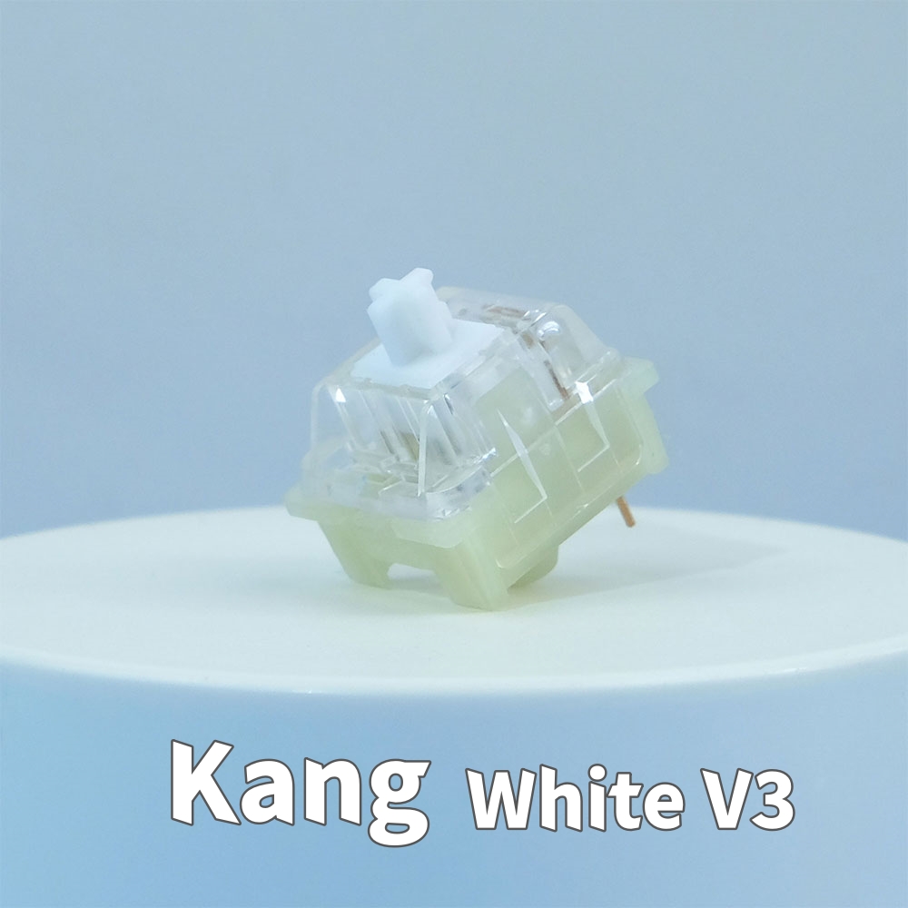 TTC Brother V2 Tactile Clicky  - đánh giá và giá Gaming Keyboard Hot Swappable